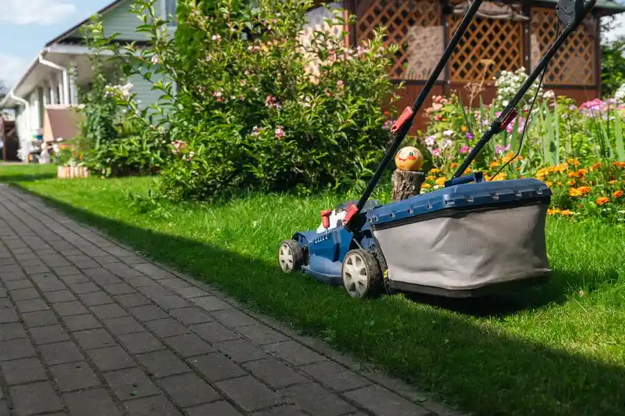 Reputable Landscape Maintenance Tampa, FL Reputable Landscape Maintenance Tampa, FL