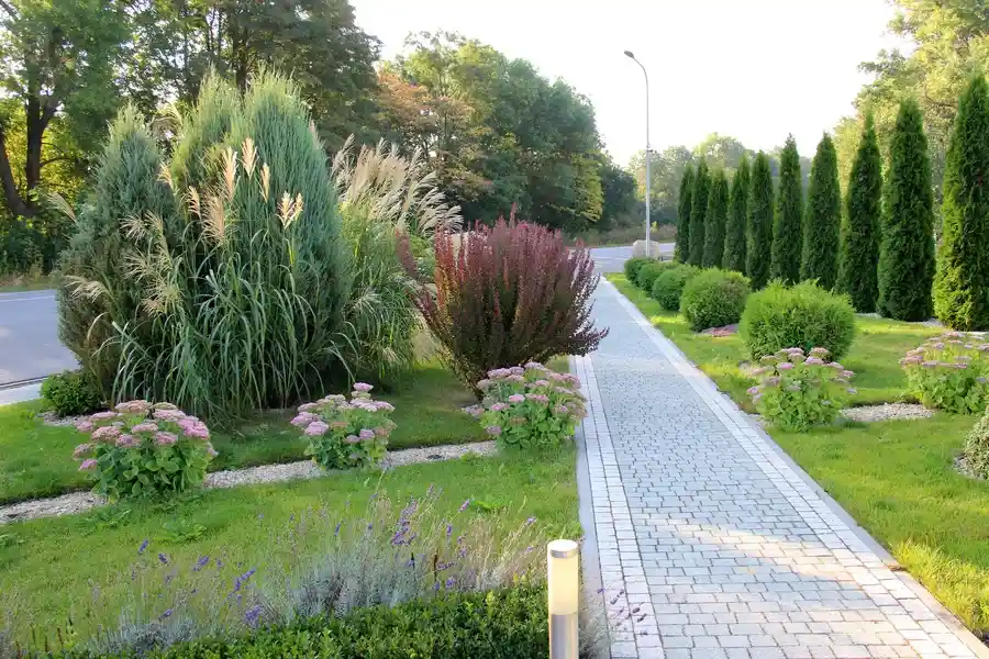 Top-rated Landscape Maintenance Tampa, FL Top-rated Landscape Maintenance Tampa, FL